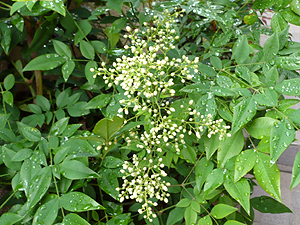 e0099905_2334515.jpg