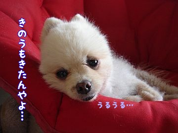c0087521_1230835.jpg