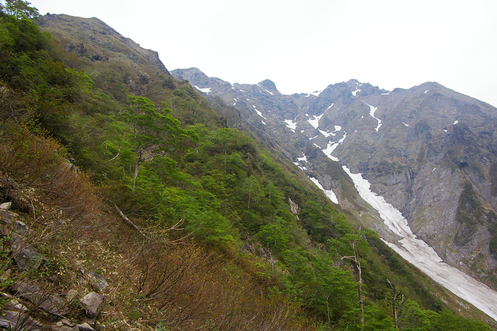 b0062024_10363847.jpg