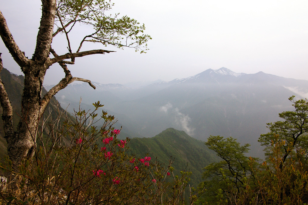 b0062024_10435315.jpg