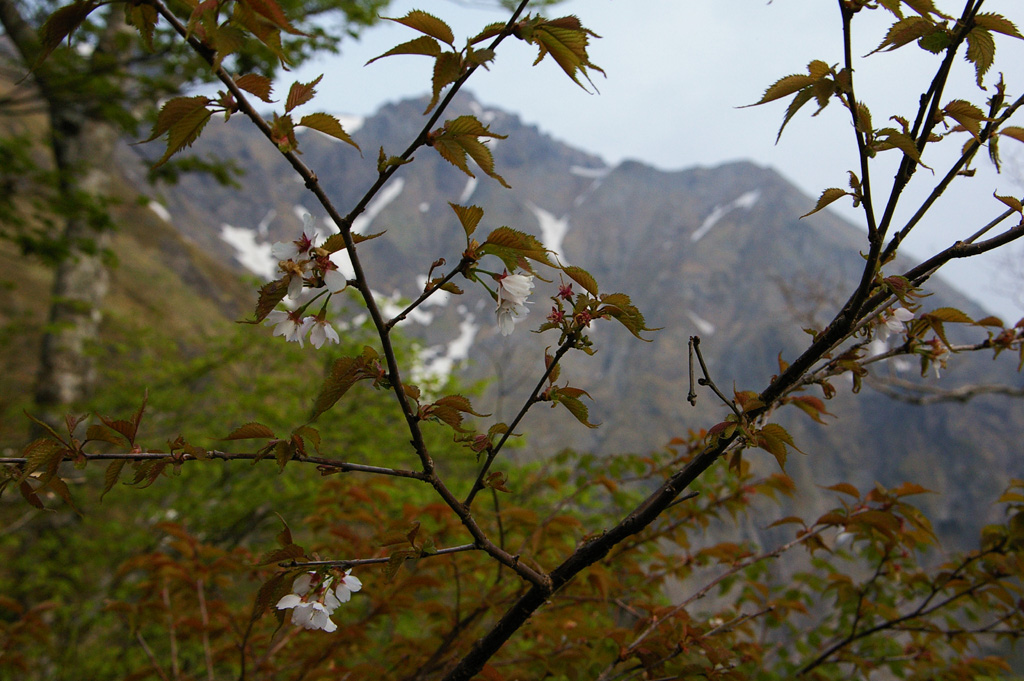 b0062024_1045099.jpg