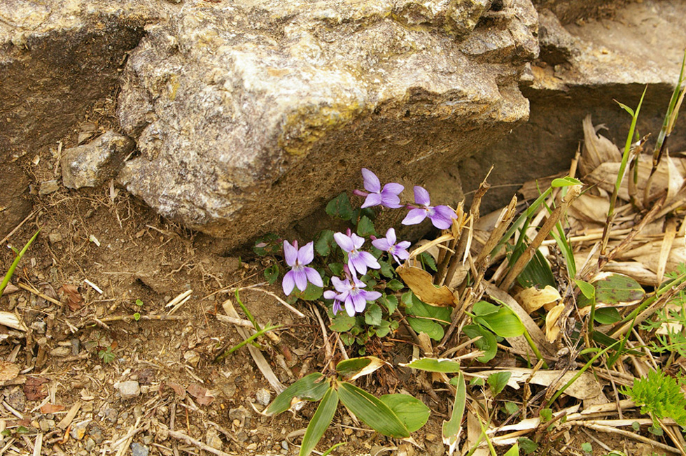 b0062024_114610.jpg