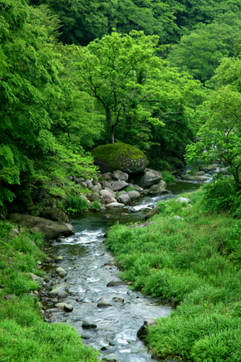 f0081726_18563612.jpg