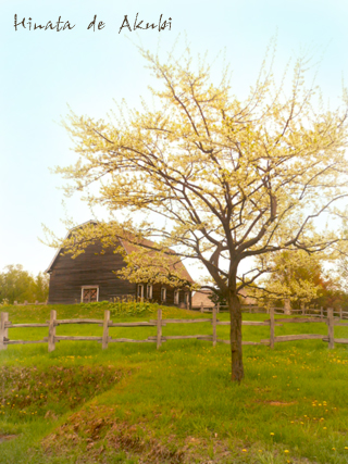 f0006732_22204826.jpg