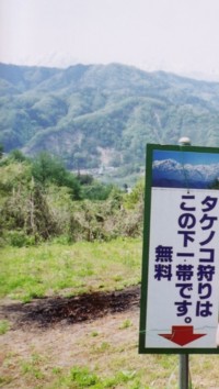 d0117039_19423458.jpg