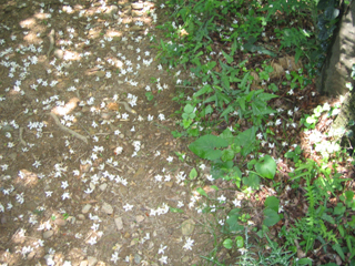 e0110940_23541694.jpg