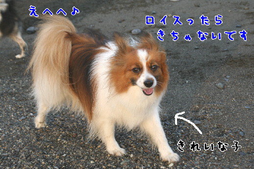 d0013149_1043372.jpg