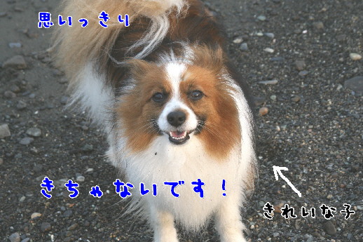 d0013149_10511130.jpg