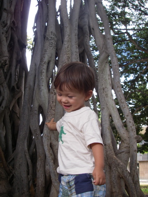 a0048361_4395835.jpg