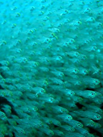 b0062363_2350026.jpg