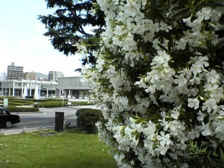 e0045768_16394762.jpg