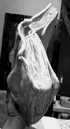 b0052471_192074.jpg