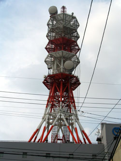 d0050871_17353835.jpg