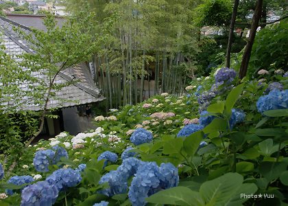 b0078874_12555678.jpg