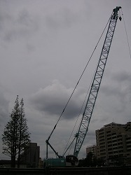 a0035678_22144862.jpg