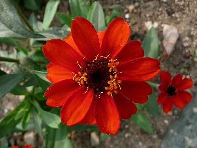 b0013478_13384581.jpg
