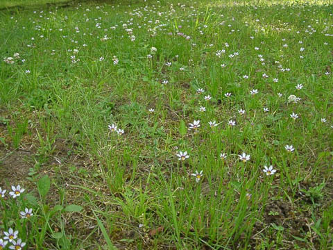 a0079880_21382430.jpg