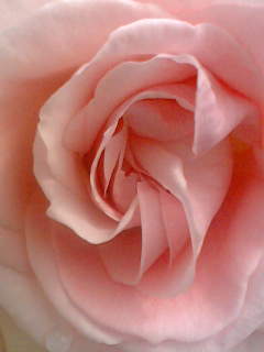 f0100480_9275086.jpg