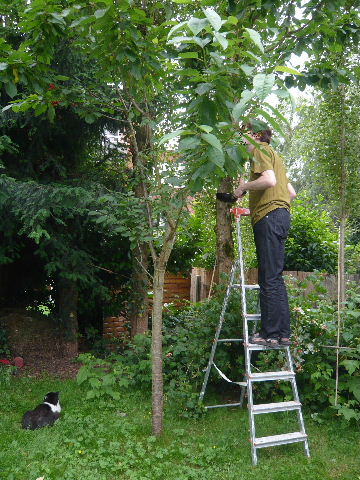 c0069083_20414173.jpg