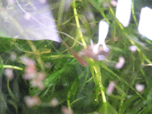 a0056686_1137159.jpg