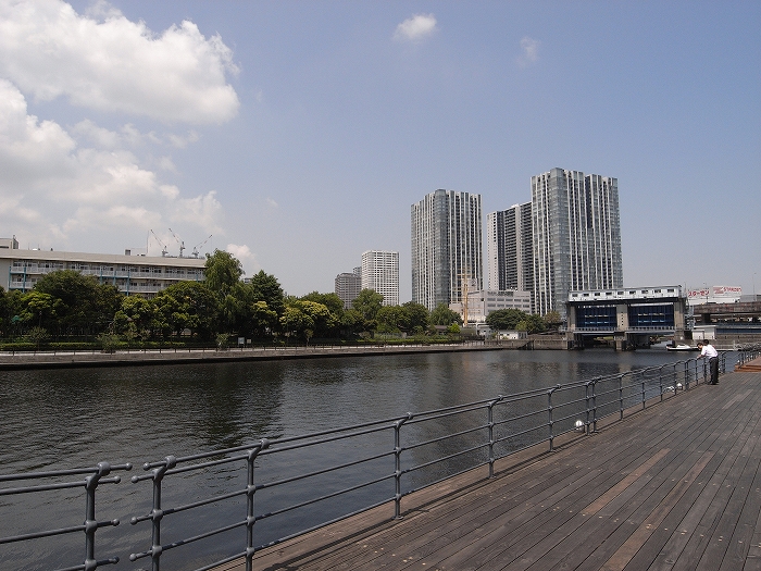 d0119988_0105720.jpg