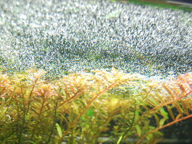 f0134790_213778.jpg