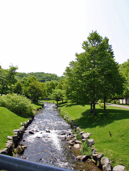 f0001895_15264317.jpg