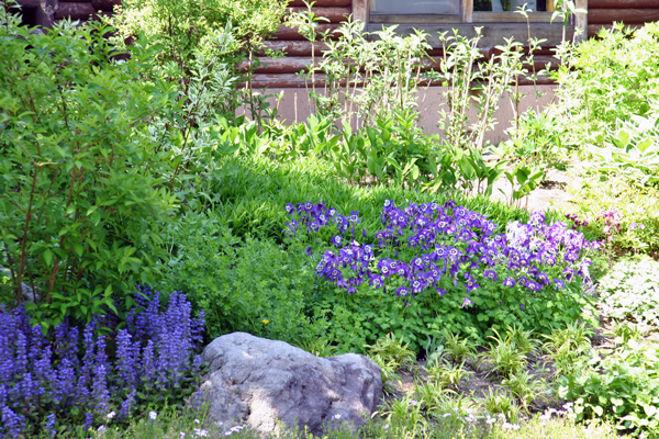 f0001895_15341769.jpg