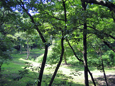 b0108100_13403924.gif