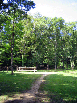 b0108100_13405676.gif