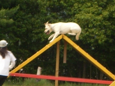 d0091700_15111843.jpg