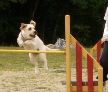 d0091700_1522444.jpg