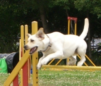 d0091700_1524846.jpg