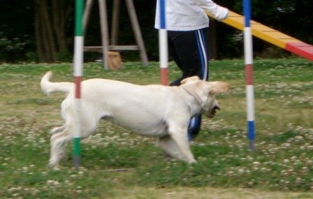 d0091700_154176.jpg