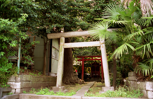 e0066210_234144100.jpg
