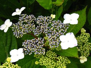 b0053414_2124453.jpg