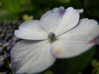 b0053414_2125748.jpg