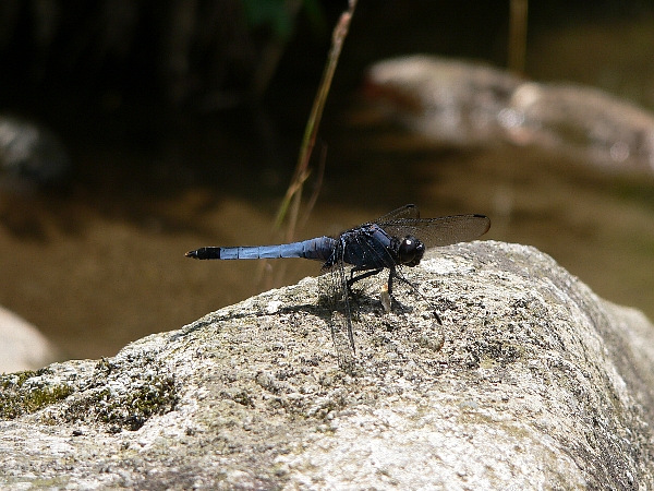 e0002314_20365998.jpg
