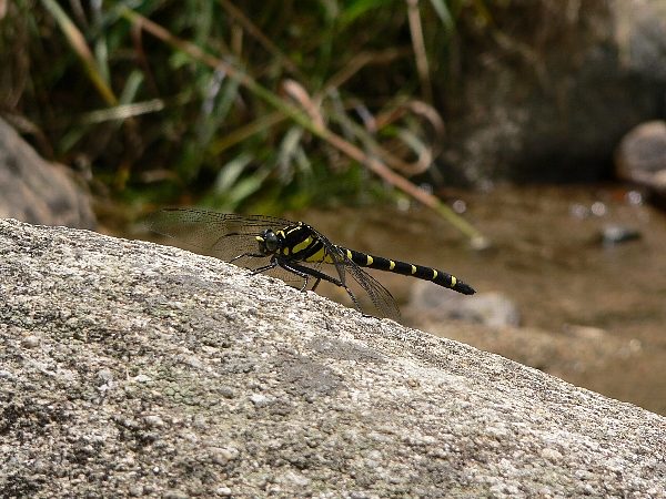 e0002314_20381651.jpg