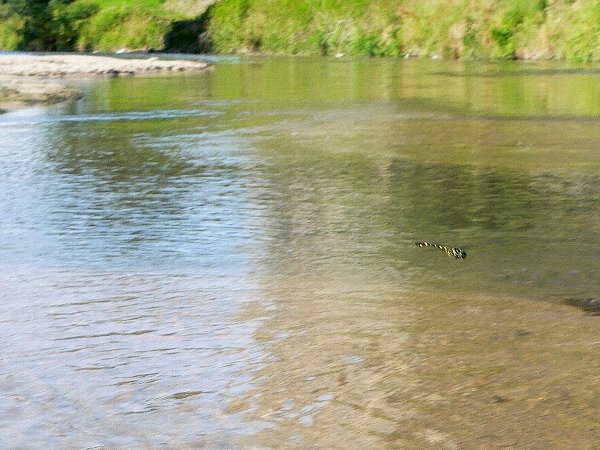 e0002314_2048148.jpg