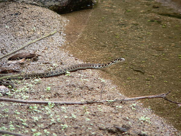 e0002314_2052924.jpg