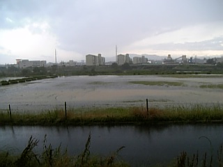 f0131318_8584515.jpg