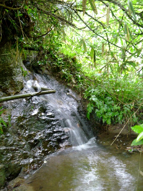 c0003723_1942968.jpg