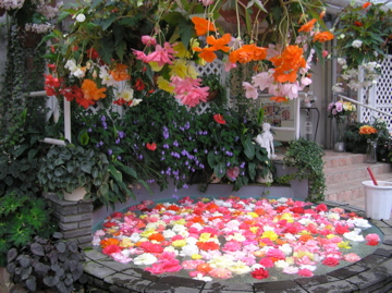 f0128723_23325072.jpg