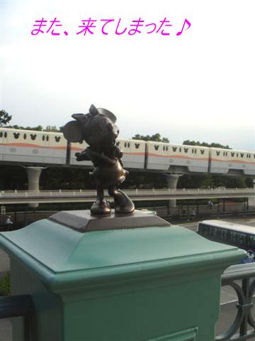 b0102728_959677.jpg