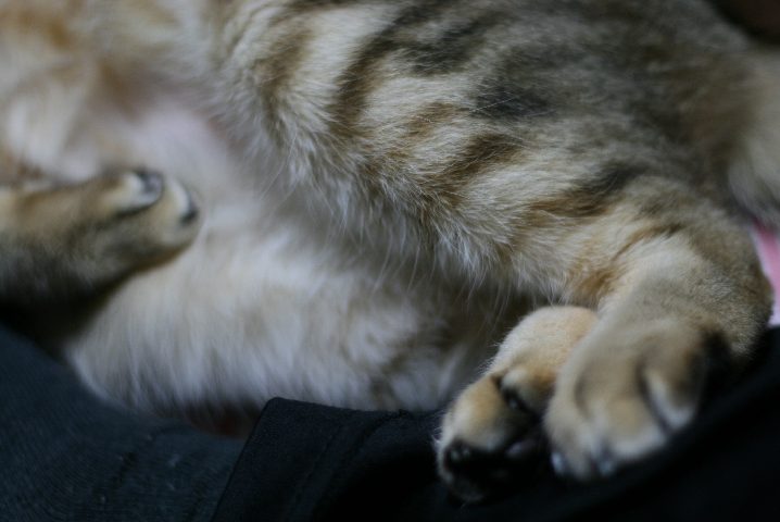f0055228_16473915.jpg
