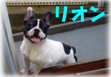 b0078030_23502353.gif