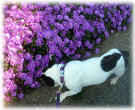 b0078030_23512268.gif