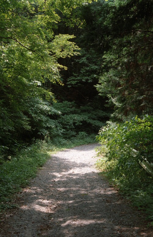 d0032931_190877.jpg