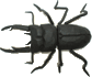 b0080033_23274148.gif